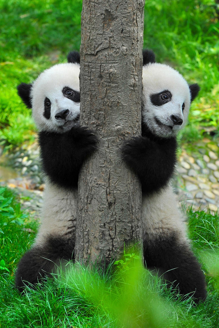 被张善亚吴玉兰争锋笑拥了